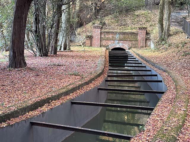 有名な南禅寺の水路閣ですが、その上を見たのは初めてという参加者がほとんど。