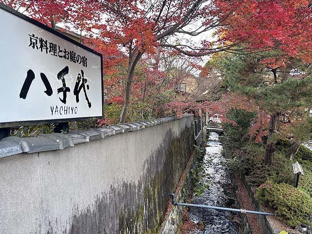『南禅寺八千代』の庭も、疏水の水を上手く取り込んでいます。