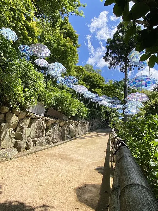 3834 楊谷寺.jpg