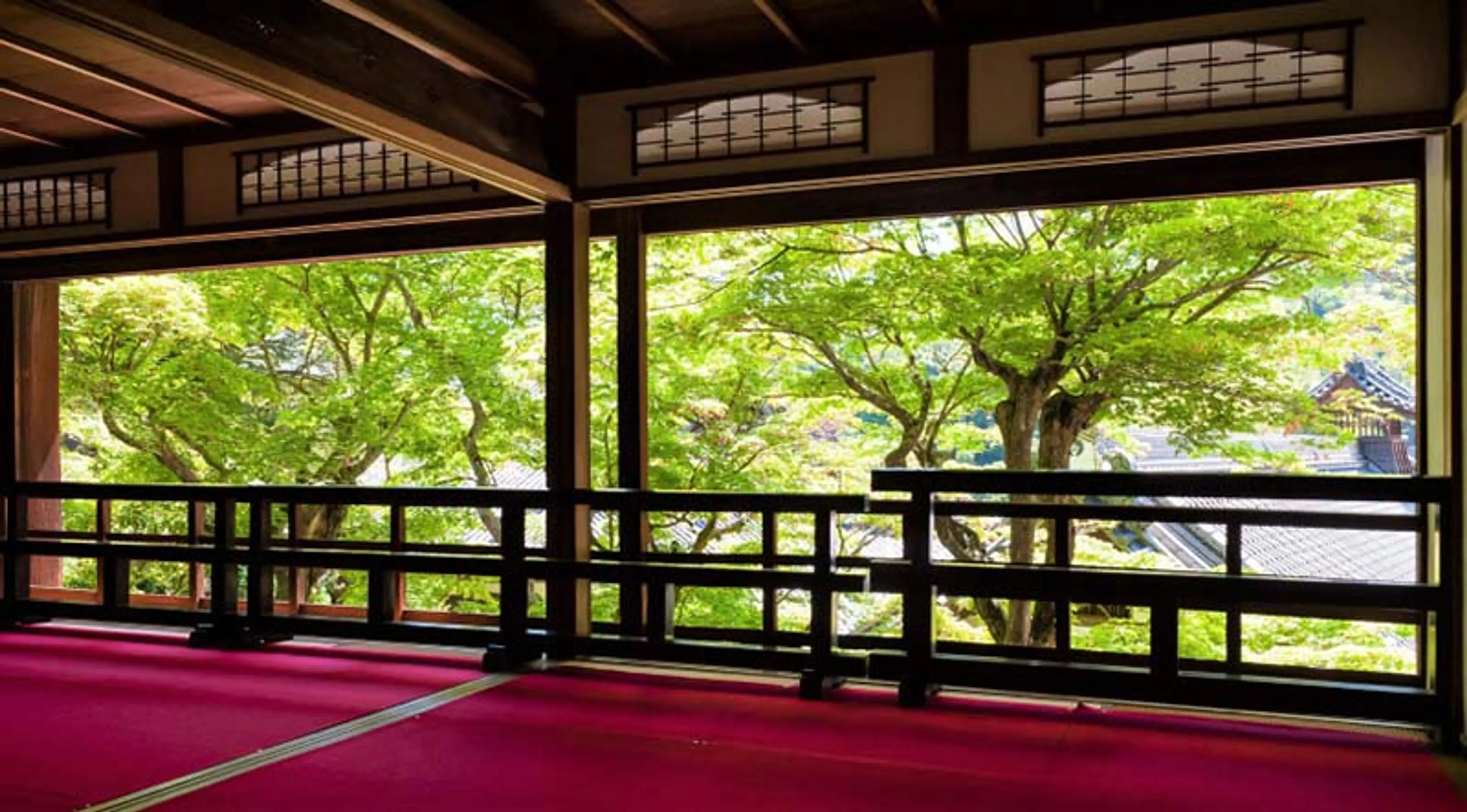 3834【柳谷観音陽谷寺】新緑②（上書院）.jpg