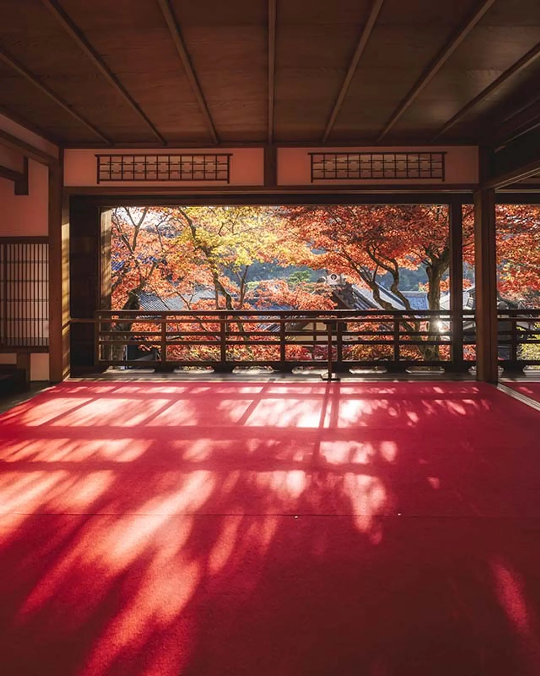 3834 楊谷寺　上書院.jpg