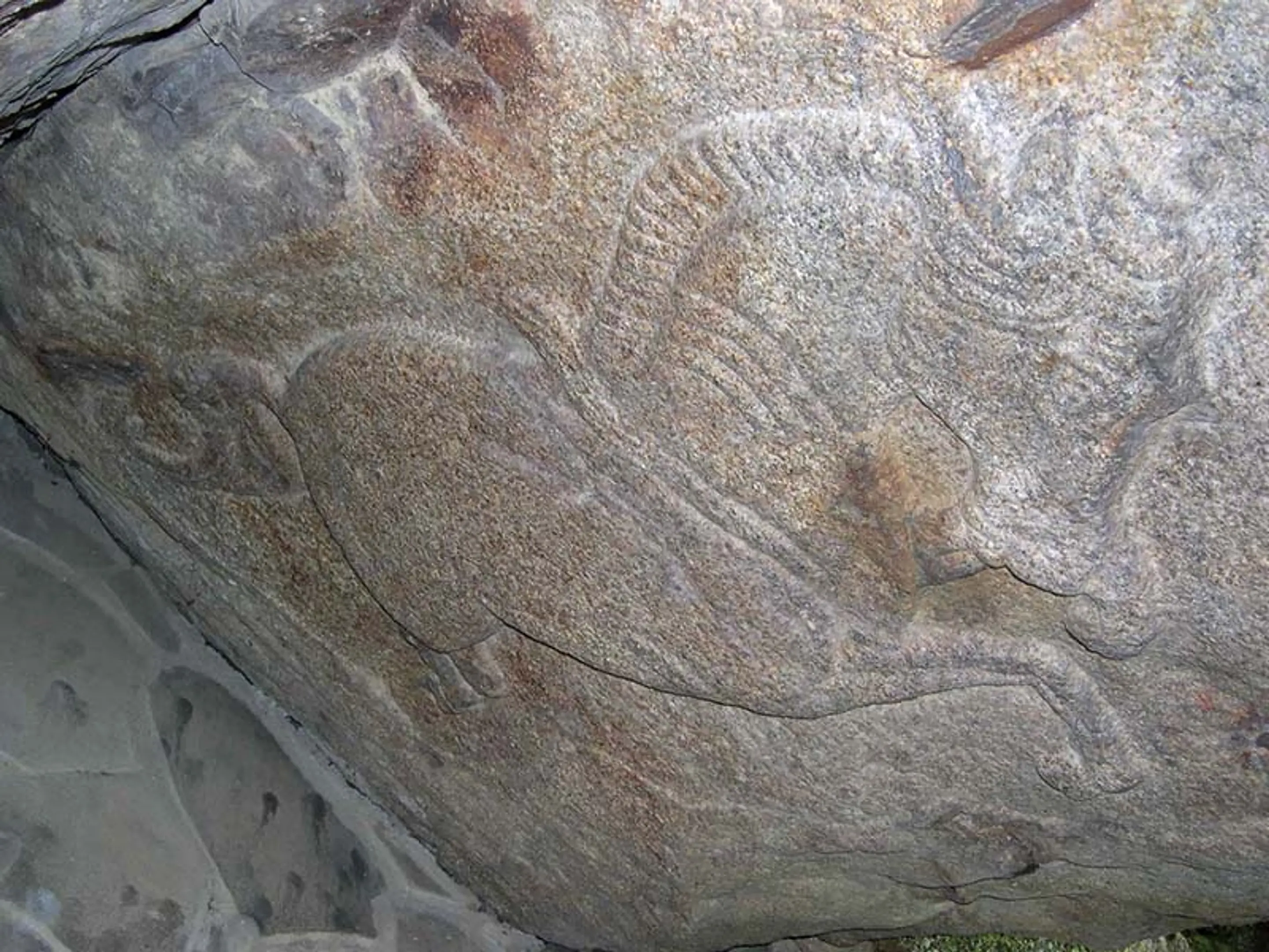駒岩の左馬ID800.jpg
