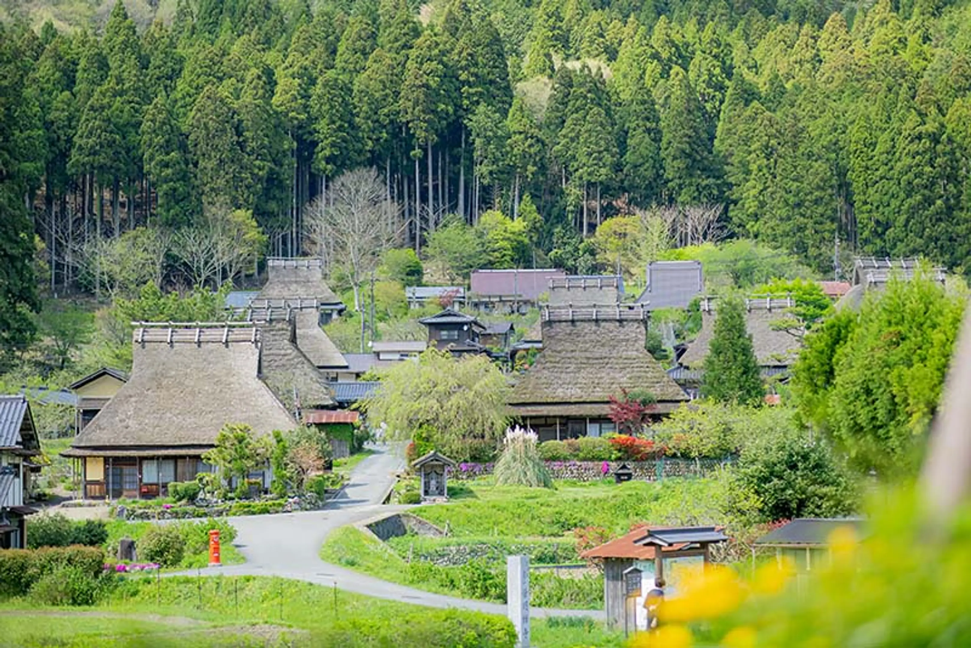  《京都駅発着》美山かやぶきの里を訪ねる 美山満喫日帰りバスツアー