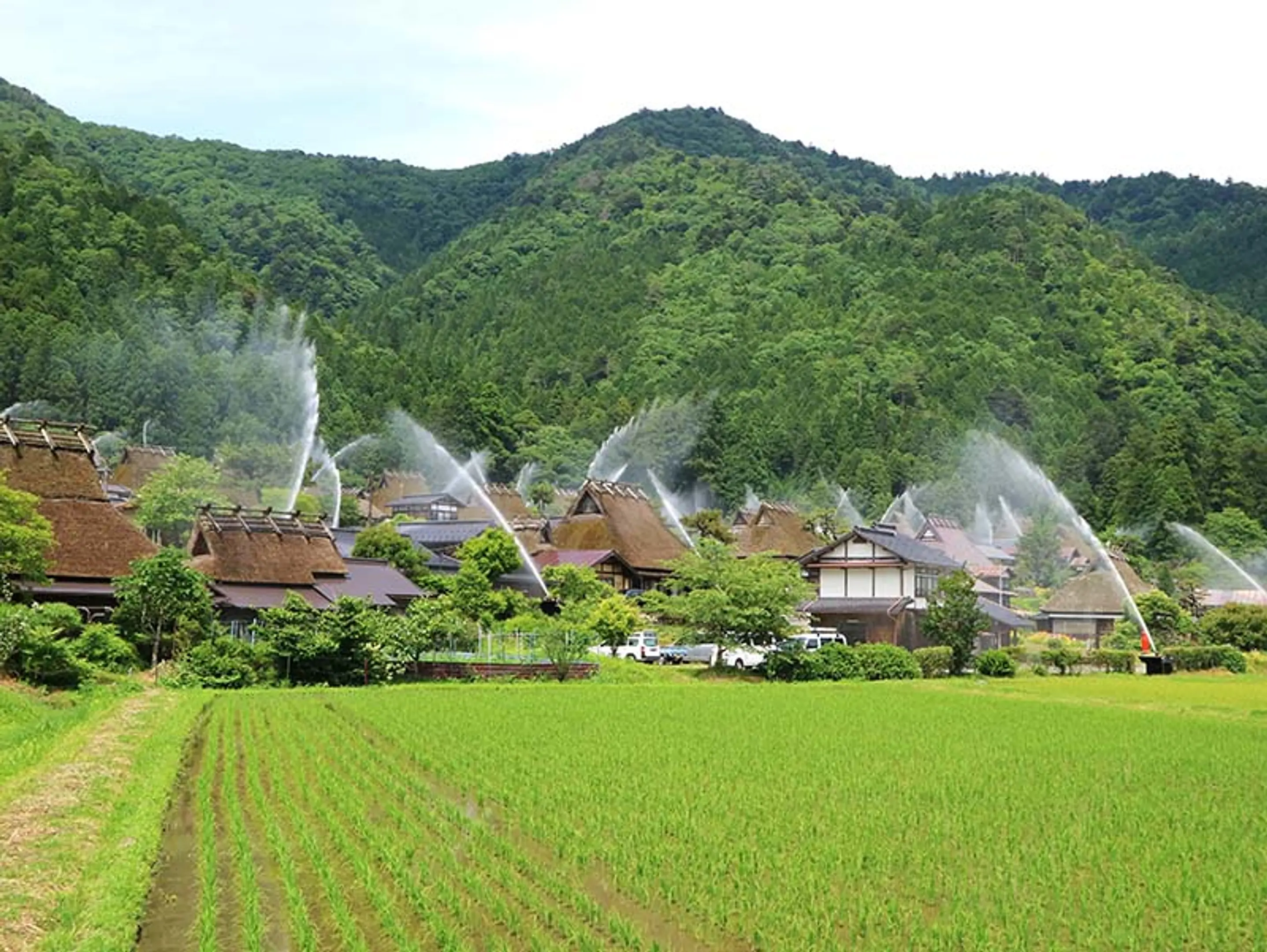  《京都駅発着》美山かやぶきの里一斉放水点検と常照皇寺を訪ねる日帰りバスツアー