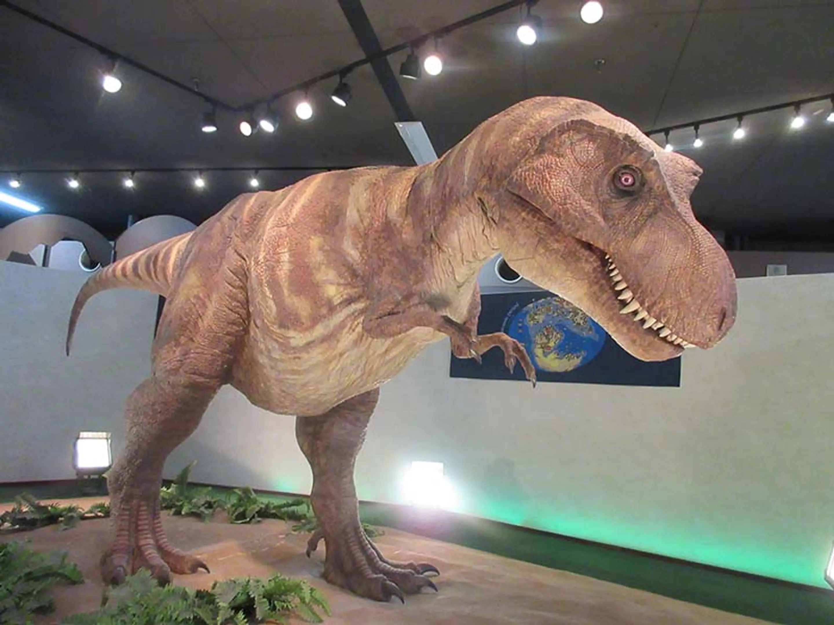 展示場（ティラノ）.JPG