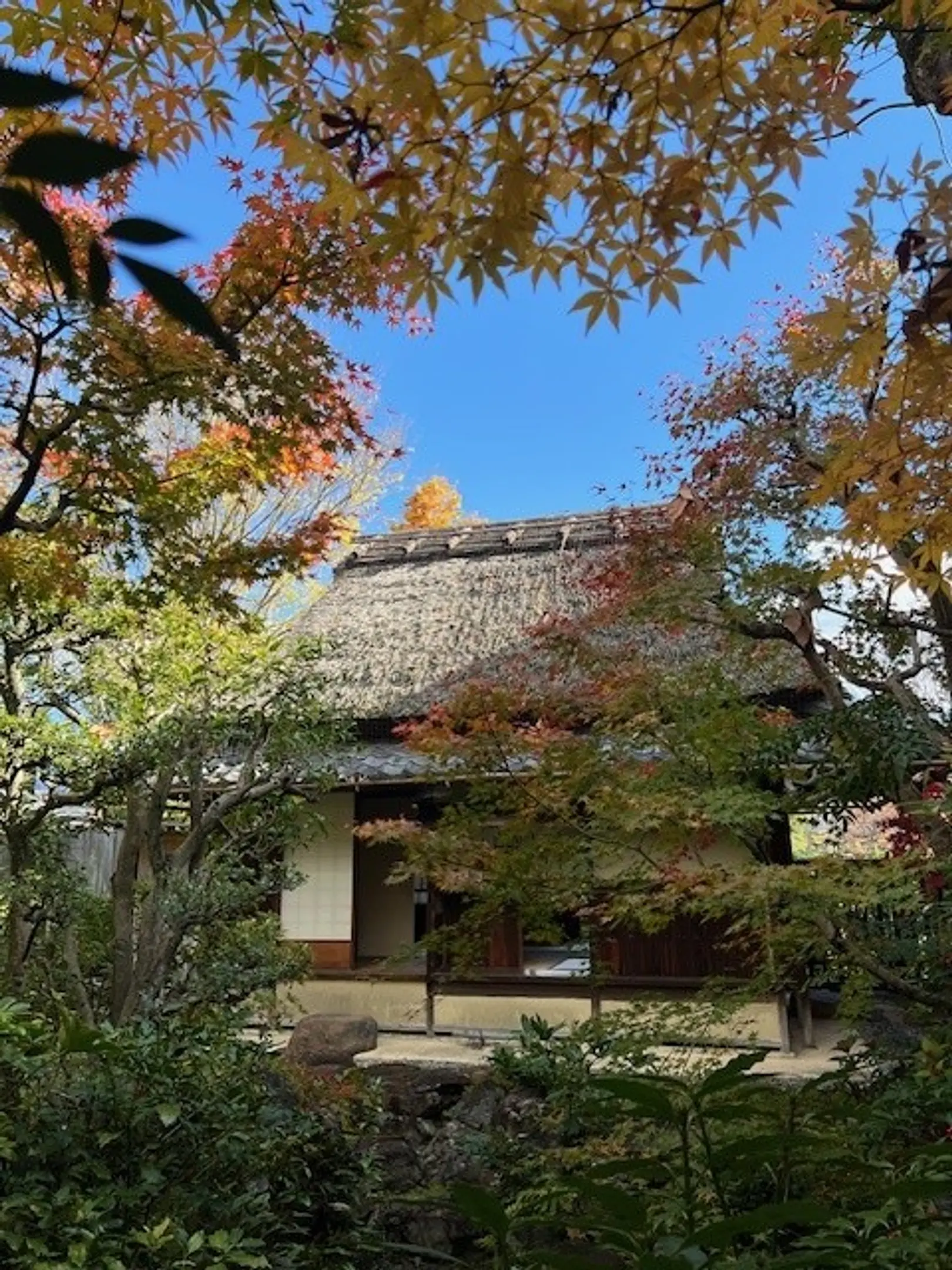 国定史跡「頼山陽書斎山紫水明處」 | スポット一覧 | 京都府観光連盟