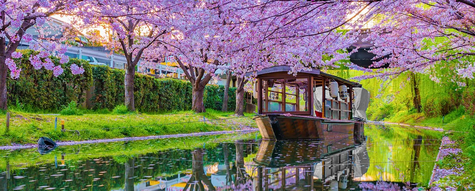 川の京都　伏見