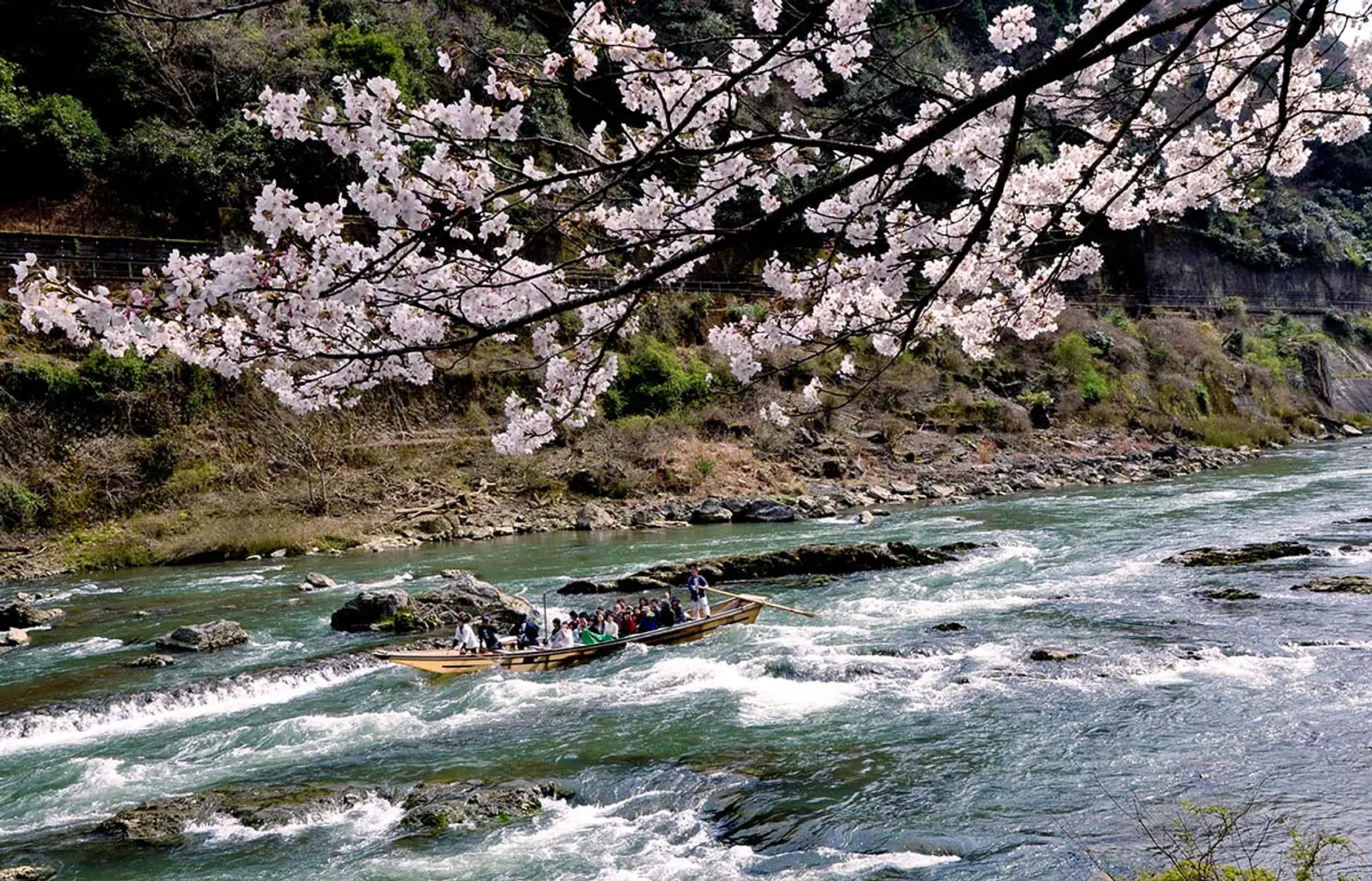 春の保津川下り