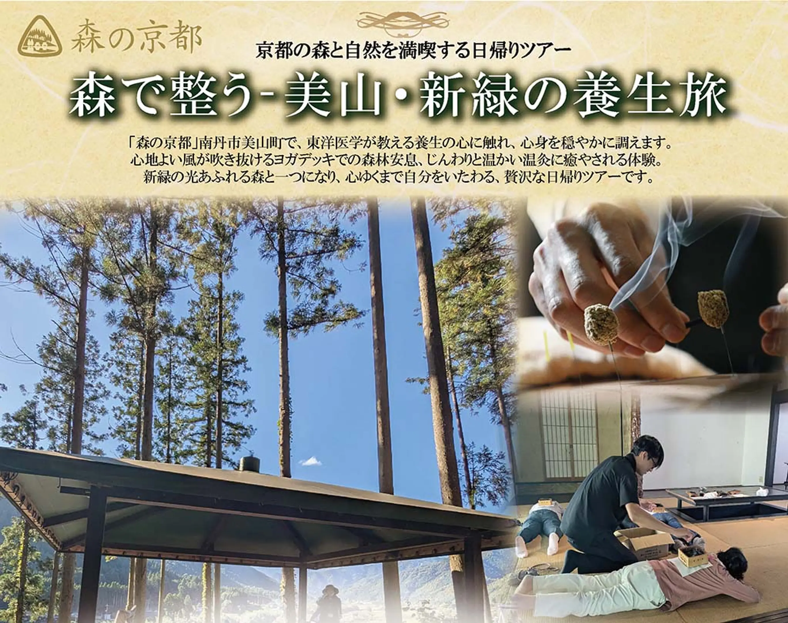 京都の森と自然を満喫する日帰りツアー「森で整うー美山・新緑の養生旅」