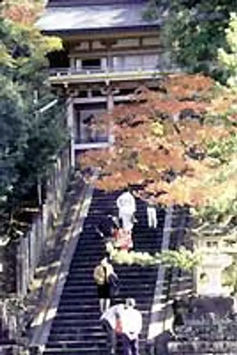 金刀比羅神社の紅葉