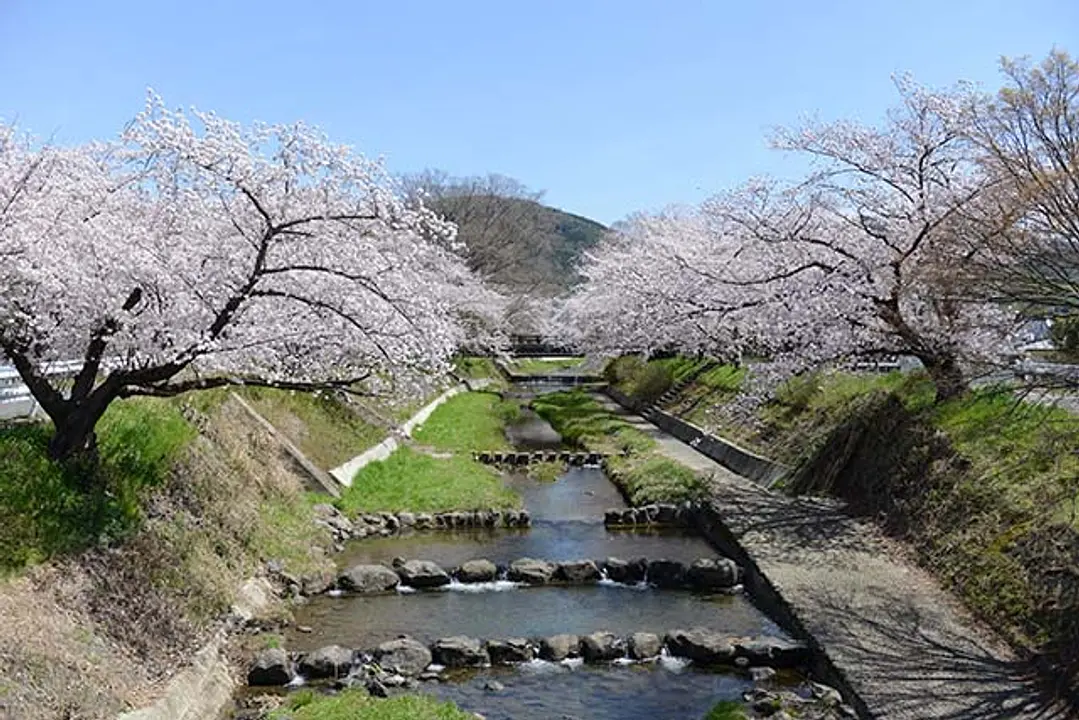 井手の玉川