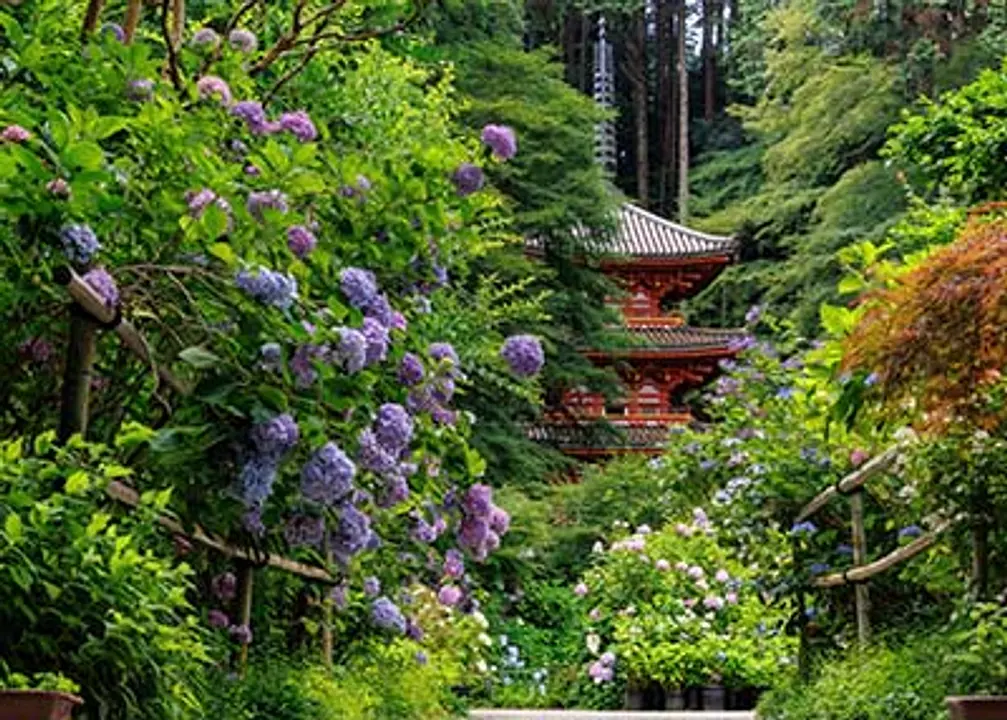 岩船寺