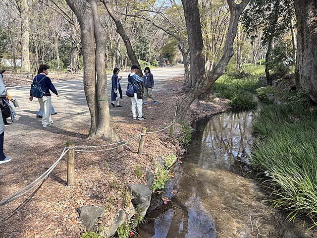  水の流れる糺の森を歩く。野鳥のさえずりも聞こえ、癒される散策に