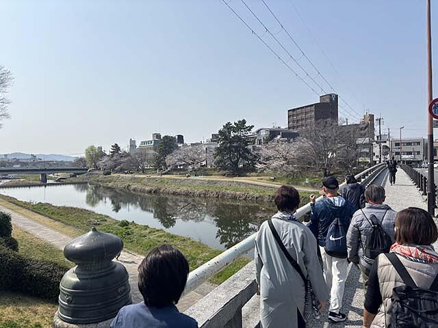賀茂川に架かる葵橋を渡り、河原に降りていきます