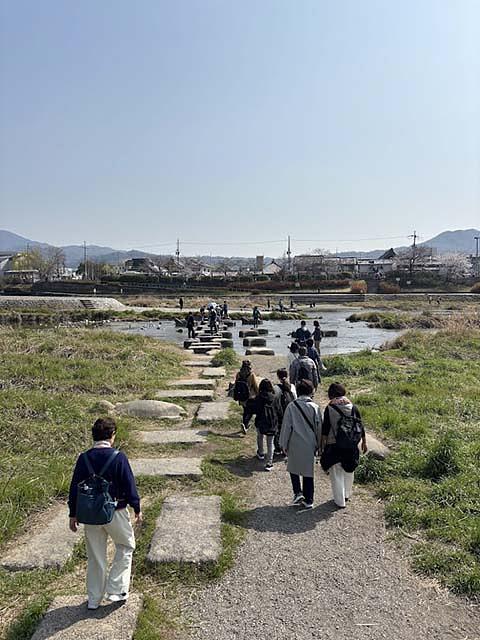途中、こうした飛び石を見つけると、童心にかえって水辺に寄ってしまいます