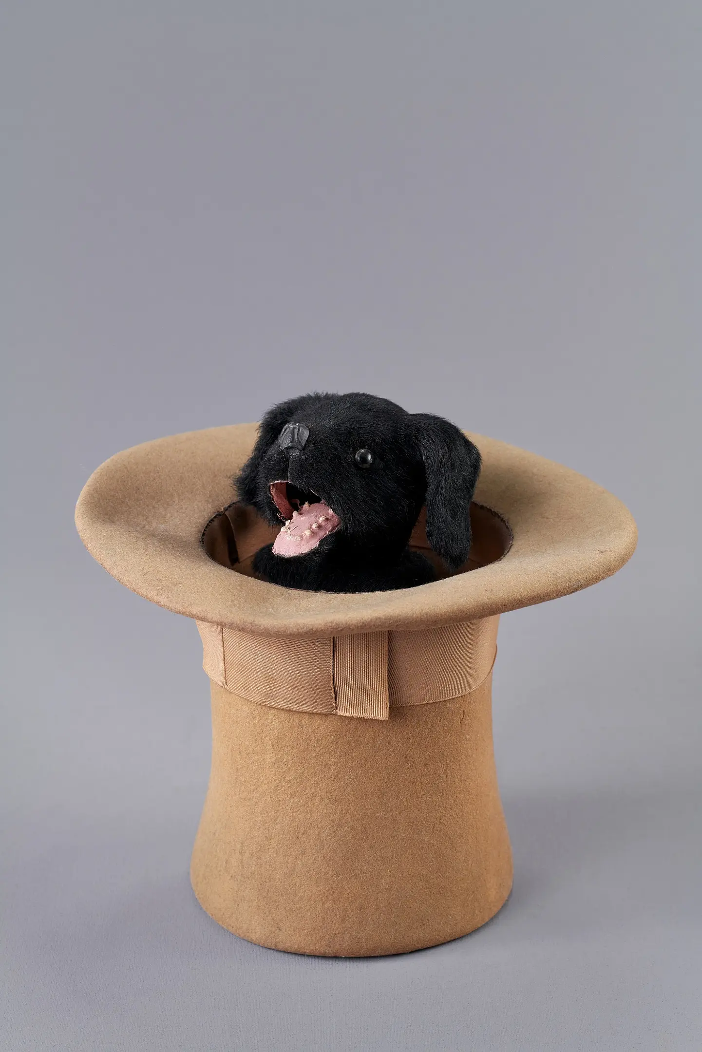 ○代表的な展示作品：帽子の中の犬.jpg
