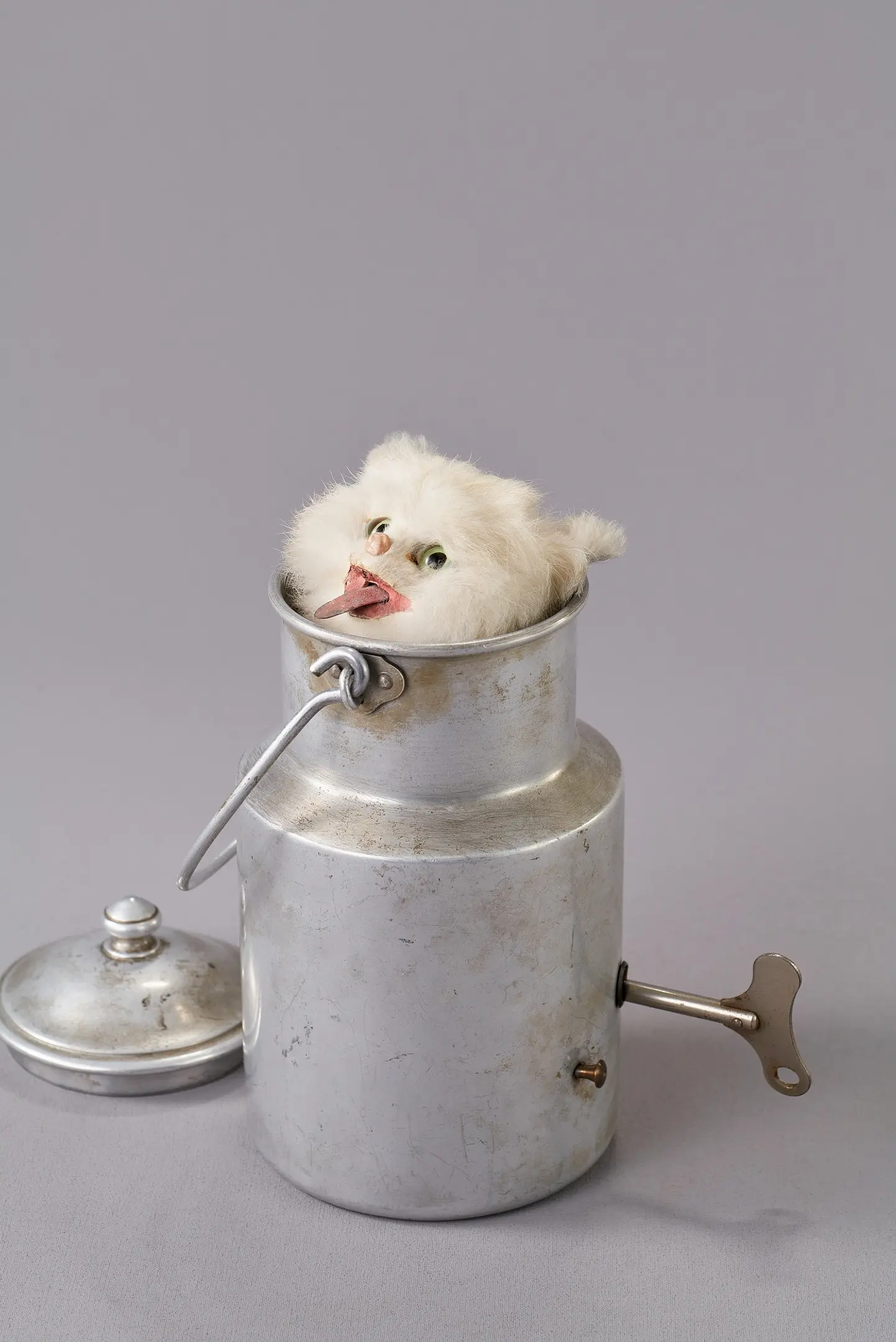 ○代表的な展示作品：ミルク缶入りの仔猫.jpg