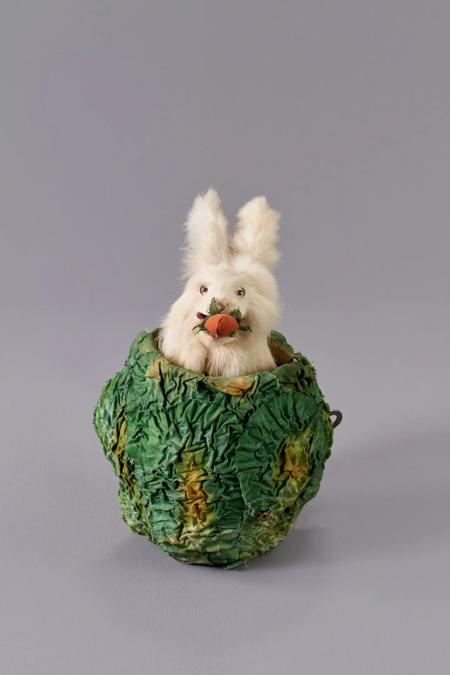 代表的な展示作品：キャベツの中のウサギ.jpg