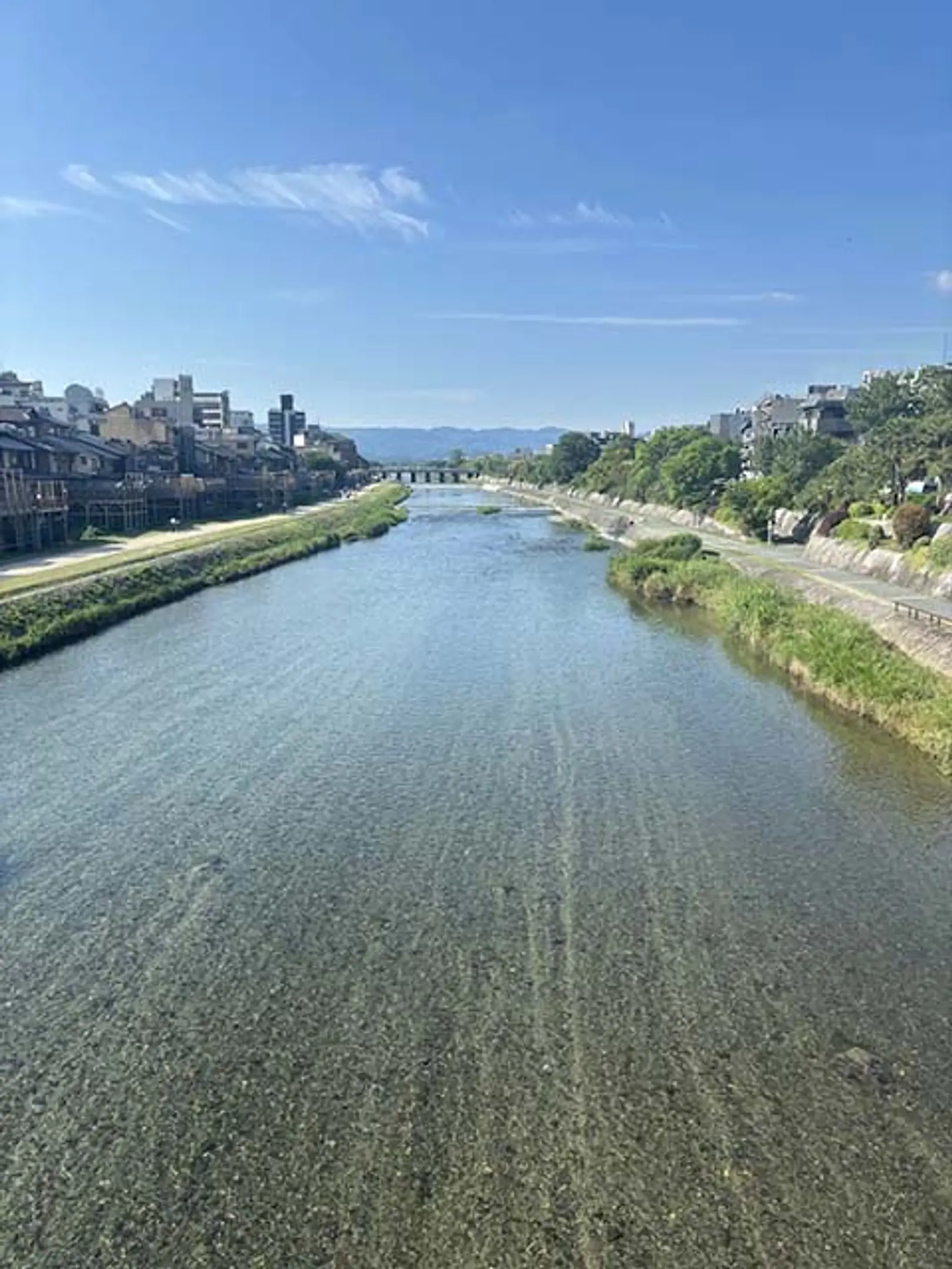 京の川巡り　第11回　鴨川