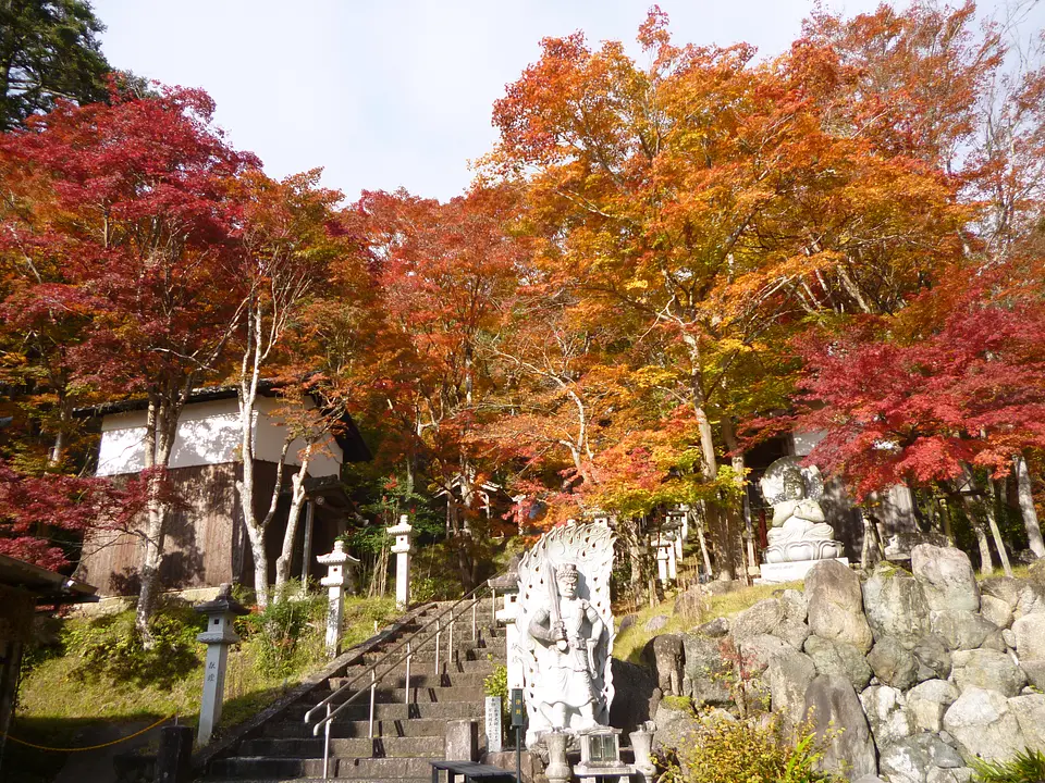 西光寺ID1102.JPG