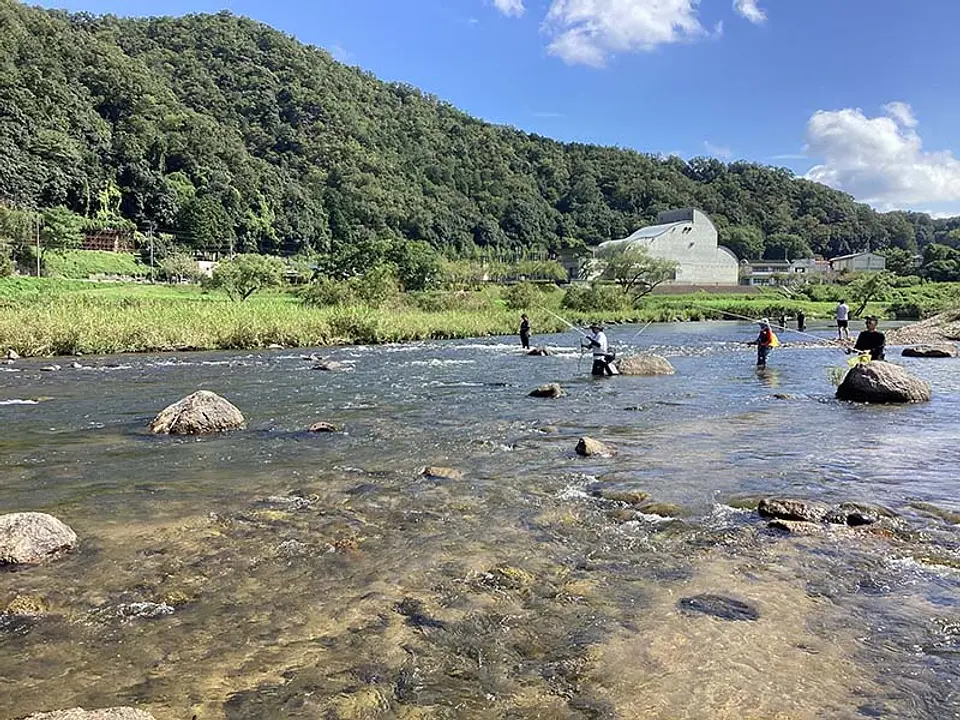 木津川の魚釣り