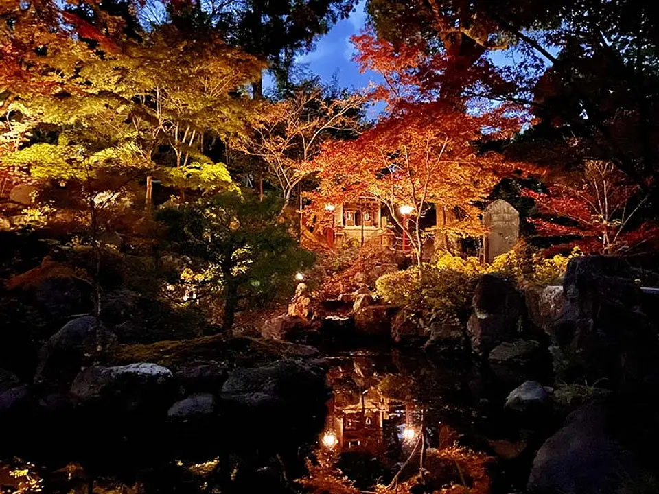京都西山・長岡天満宮花灯路～錦景苑ライトアップ～