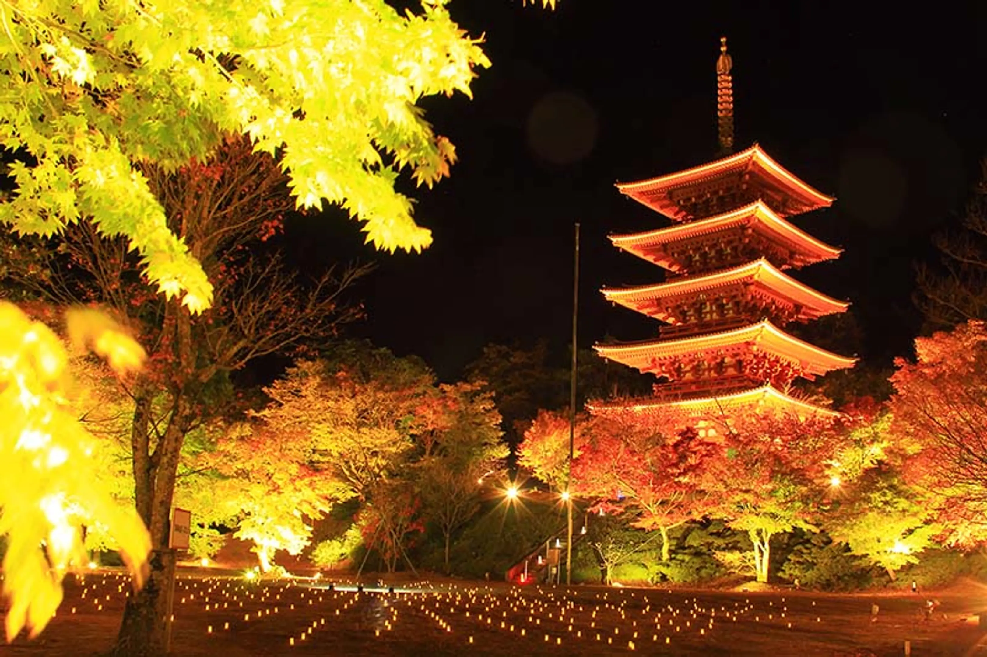 成相寺紅葉祭ライトアップ