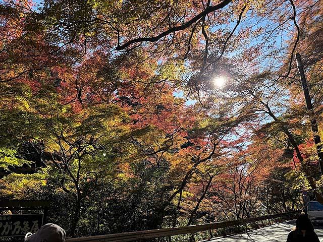 清滝発電所の近くになると、流れも穏やかになり川幅も広がる。