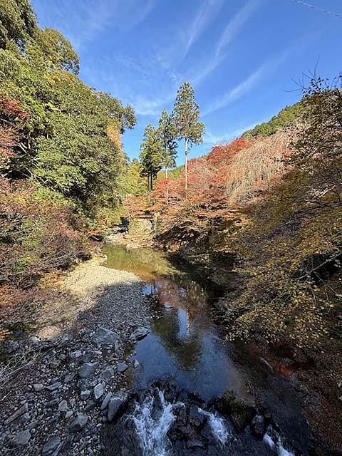 11月に清滝川へ降りると、紅葉の借景も楽しめる。