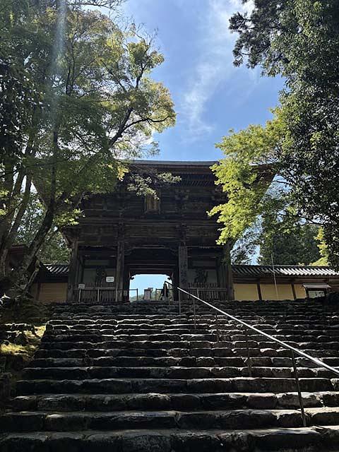 清滝川にかかる高雄橋から山道を10分ほど上っていくと、神護寺がある。