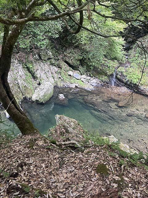 淵のあるところでは、水の透明度もよくわかる。