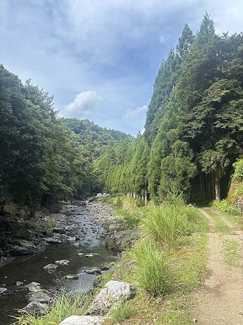 清滝川沿いの道は整備されていて、歩きやすい。