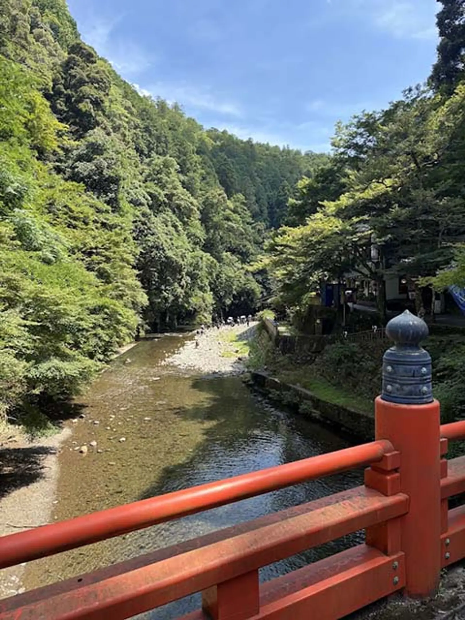 川の京都　京の川巡り　第12回　清滝川