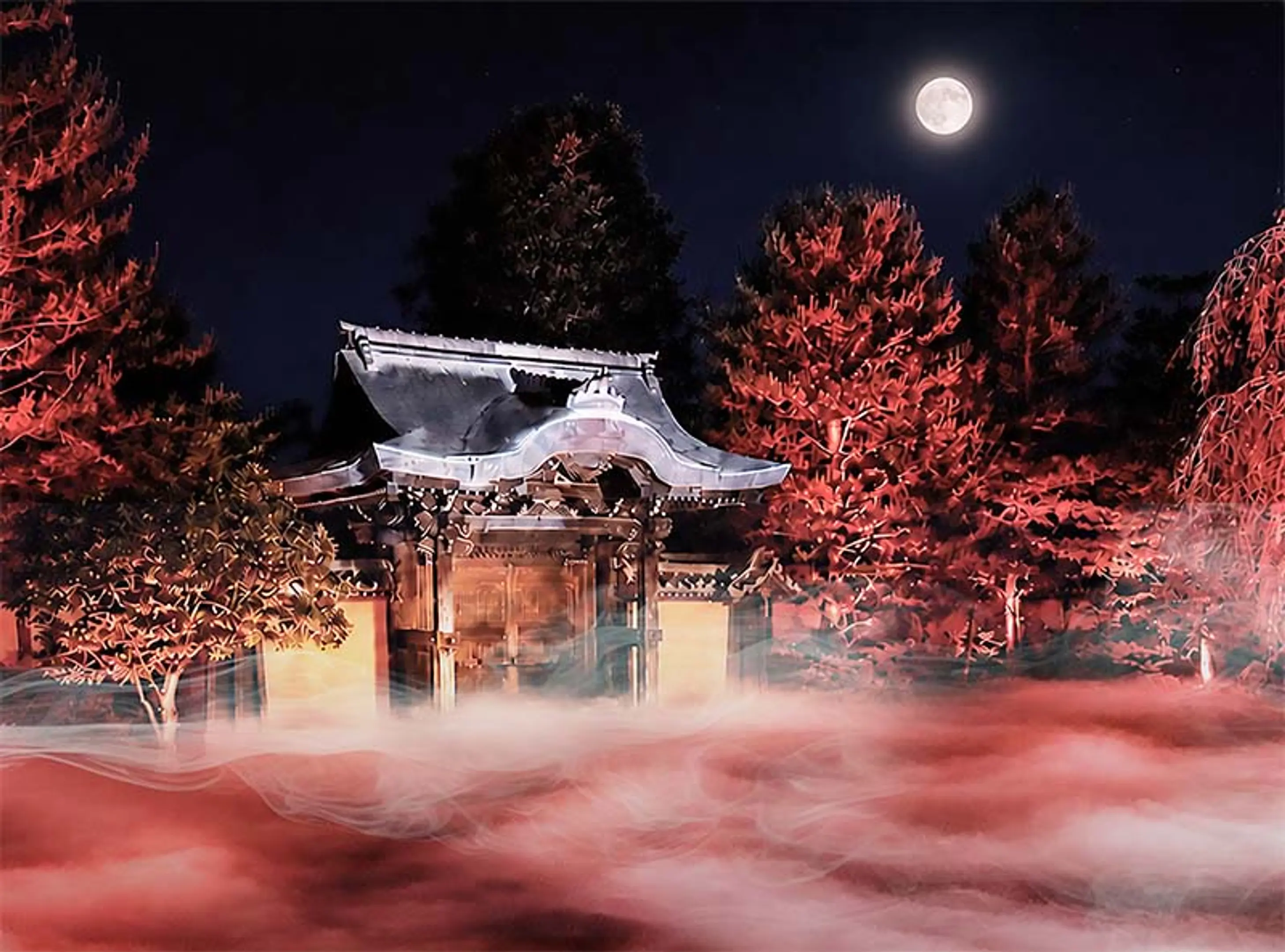 秀吉ゆかりの京都・高台寺で夜間特別拝観「デジタル能舞 in 高台寺」開催