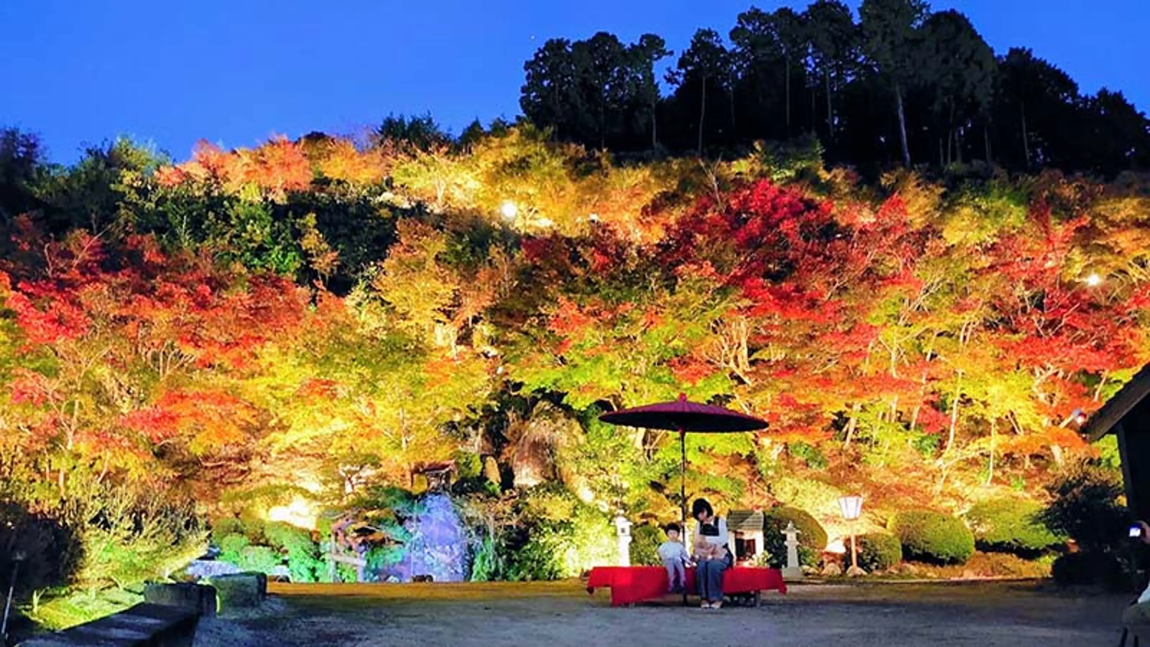 もみじと古墳が美しく出会う夜　「古墳」と「もみじ」の灯りナイト