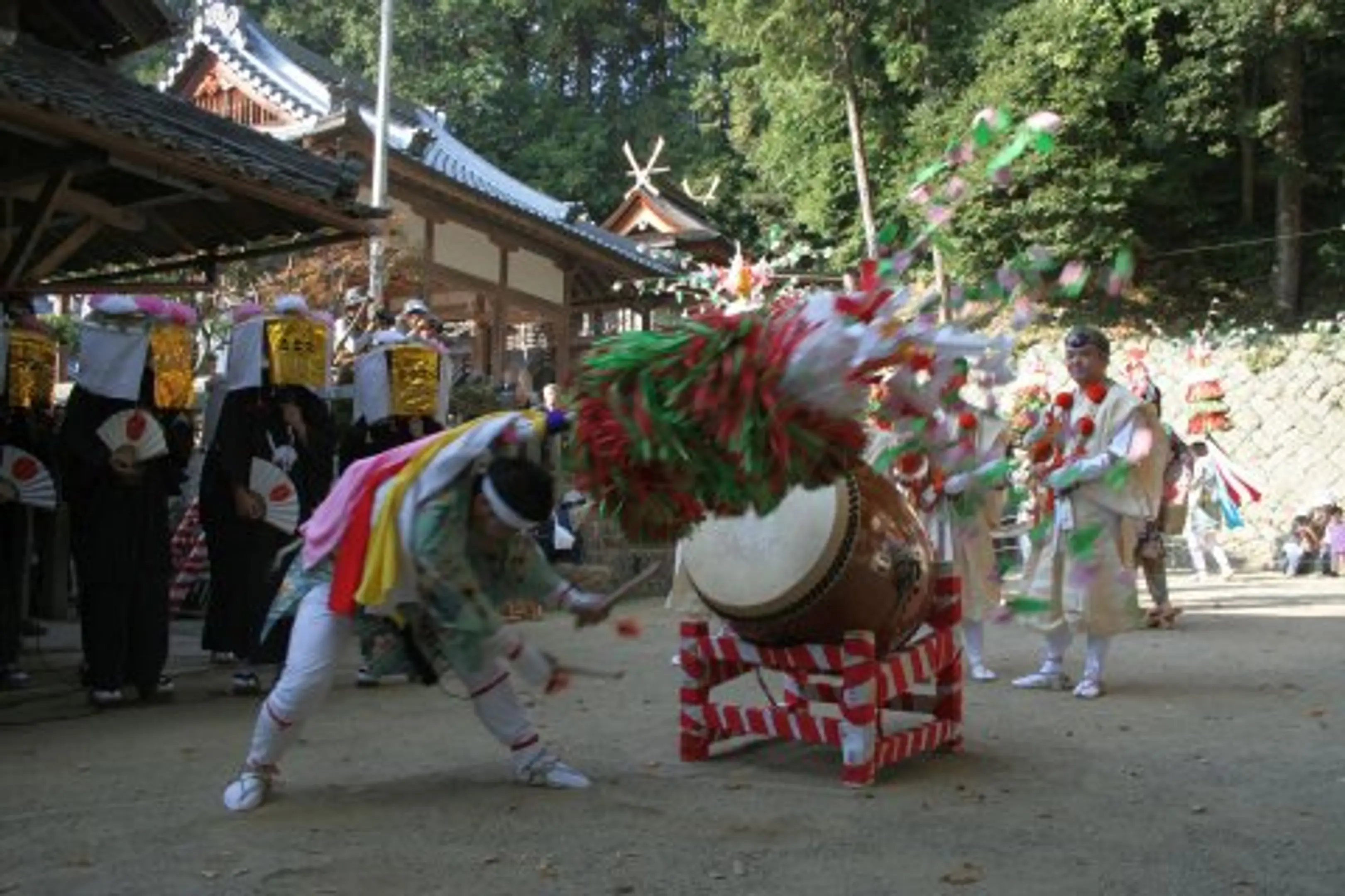 1183.jpg