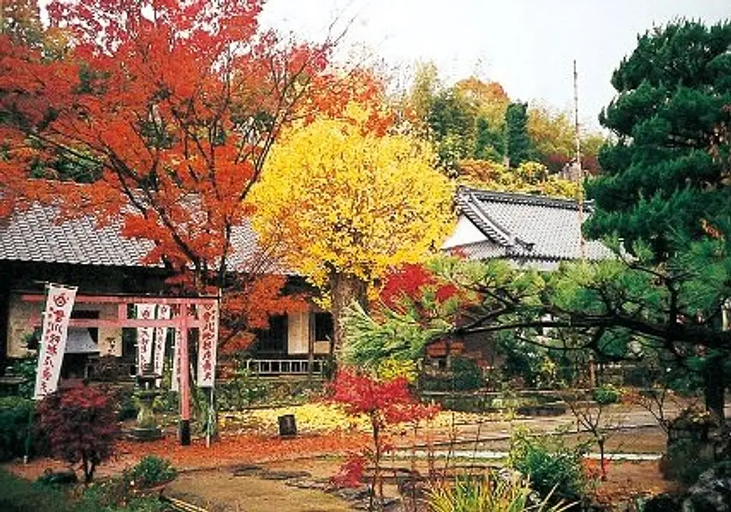 【神應寺】紅葉