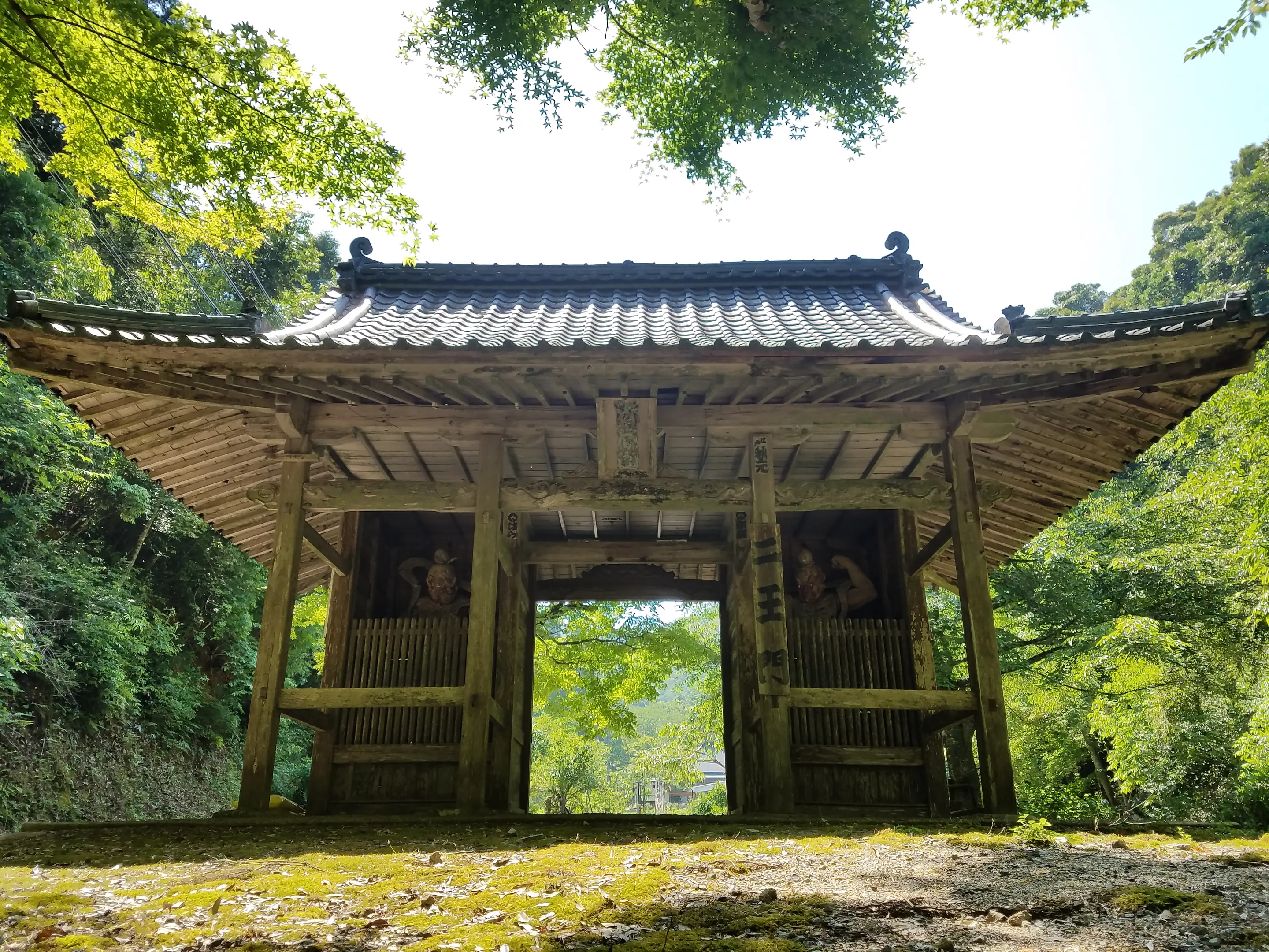 東光院 スポット一覧 京都府観光連盟公式サイト