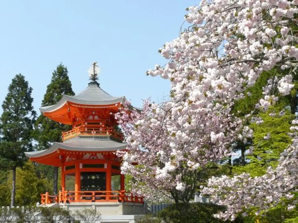 正法寺 スポット一覧 京都府観光連盟公式サイト